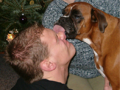Weihnachten 2007 - Ich mag dich., © Boxerzwinger von Nuwenstad