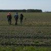 DSCF0536