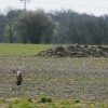 DSCF0548
