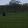 DSCF0613
