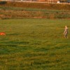 DSCF2367
