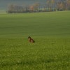 DSCF2497