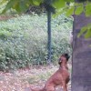 DSCF5178