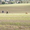 DSCF1928