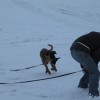 IMG_0084