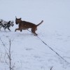 IMG_0125