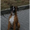 DSCF5251