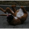 DSCF5256