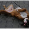 DSCF5259