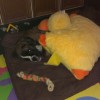 IMG-20141210-WA0000